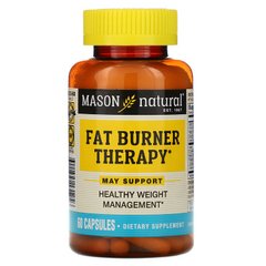 Жиросжигающая терапия, Fat Burner Therapy, Mason Natural, 60 капсул (MAV-13125), фото