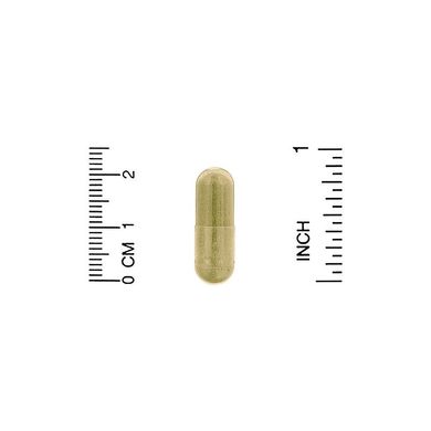California Gold Nutrition, Fisetin with Novusetin, фізетин, 100 мг, 180 рослинних капсул (CGN-01844), фото