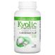 Kyolic WAK-10042 Kyolic, Aged Garlic Extract, витриманий часниковий екстракт, для серцево-судинної системи, оригінальний склад, 200 капсул (WAK-10042) 1