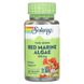 Solaray SOR-01481 Solaray, Красные морские водоросли, 375 мг, 100 вегетарианских капсул (SOR-01481) 1