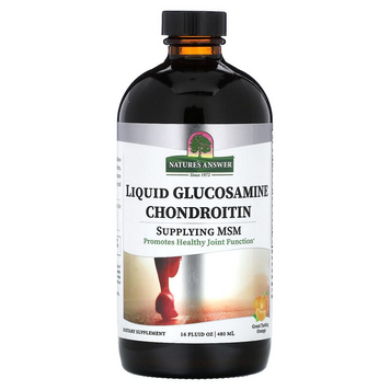 Рідкий глюкозамін та хондроїтин та MSM Nature's Answer Liquid Glucosamine Chondroitin MSM | апельсин - 480 мл, фото