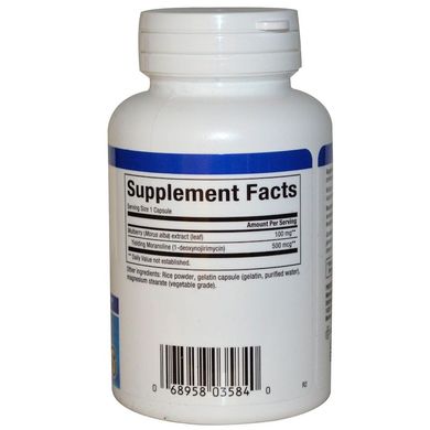 Шовковиця, WellBetX, Mulberry Extract, Natural Factors, 100 мг, 90 капсул (NFS-03584), фото