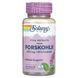 Solaray SOR-64475 Форсколин, Super Forskohlii, Solaray, Ayurvedic Herbs, 400 мг, 60 капсул (SOR-64475) 1