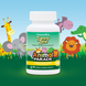 Nature's Plus NAP-29947 Nature's Plus, Source of Life, Animal Parade, Tummy Zyme с активными ферментами, цельными продуктами и пробиотиками, натуральный вкус тропических фруктов, 90 таблеток в форме животных (NAP-29947) 3