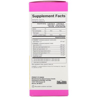 Эхинацея сироп мед+лимон (Echinamide Active Defense), Natural Factors, 150 мл (NFS-04760), фото
