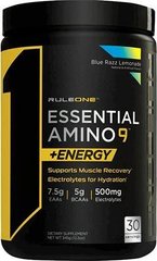 Rule 1, Essential Amino 9+ Energy, Blue Razz лимонад, 345 г (RUL-10845), фото