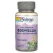 Solaray SOR-39905 Solaray, екстракт босвеллії, 450 мг, 60 рослинних капсул (SOR-39905) 1