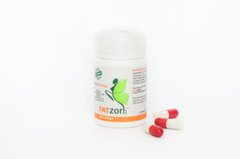Fatzorb таблетки для схуднення, 40 капсул (FTZ-38547), фото