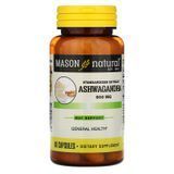Mason Natural MAV-17875 Ашваганда 500 мг, Ashwagandha, Mason Natural, 60 капсул (MAV-17875)