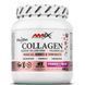 Amix 822238 Amix, Collagen Viscofan Drink, лісові фрукти, 300 г (822238) 1
