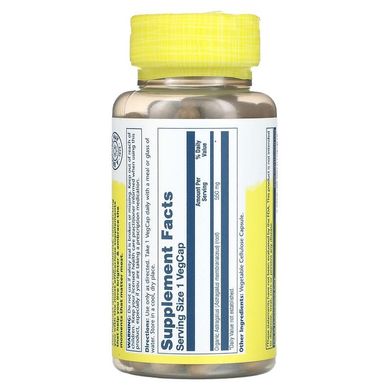 Solaray, органически выращенный астрагал, 550 мг, 100 вегетарианских капсул (SOR-88745), фото