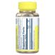 Solaray SOR-88745 Solaray, органически выращенный астрагал, 550 мг, 100 вегетарианских капсул (SOR-88745) 2