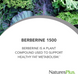 Nature's Plus NAP-04708 Natures Plus, PRO Berberine, Берберин, 1500 мг, 60 таблеток (NAP-04708) 4