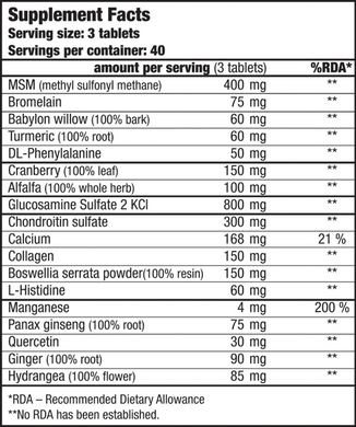 Глюкозамін хондроїтин MSM + колаген 2 типу Biotech Arthro Forte - 120 таблеток, фото