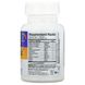 Enzymedica ENZ-29050 Enzymedica, Digest Basic, формула с основными ферментами, 30 капсул (ENZ-29050) 2