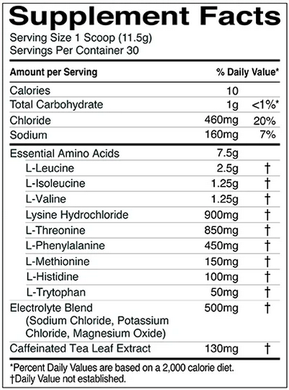 Rule 1, Essential Amino 9 + Energy, Golden Gummy, 345 г (RUL-10843), фото