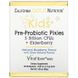 California Gold Nutrition CGN-01853 California Gold Nutrition, Pixies, пребіотики та пробіотики для дітей, 5 млрд. КУО, з додаванням бузини, з натуральним смаком лохини, 30 пакетиків по 1,5 г (CGN-01853) 1