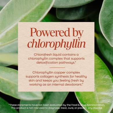 Жидкий хлорофилл Nature's Way Chlorofresh Liquid Chlorophyll | без вкуса - 480 мл, фото