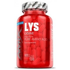 Amix, Лізін, L-Lysine, 600 мг, 120 капсул (819367), фото