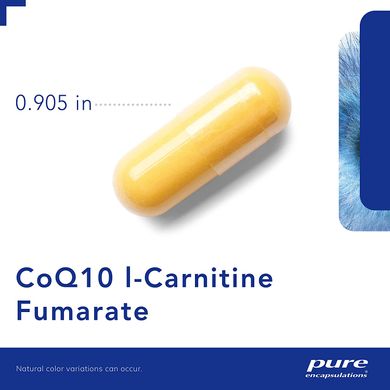 Коэнзим Q10 L-карнитин фумарат, CoQ10 l-Carnitine Fumarate, Pure Encapsulations, 120 капсул (PE-00398), фото