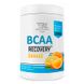 Bodyperson Labs BDL-72812 Bodyperson Labs, BCAA Recovery, апельсин, 500 г (BDL-72812) 1