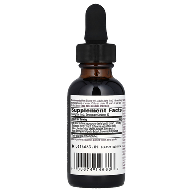 Экстракты эхинацеи и желтокорня без спирта Nature's Way Echinacea Goldenseal - 30 мл, фото