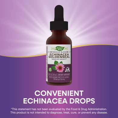 Экстракты эхинацеи и желтокорня без спирта Nature's Way Echinacea Goldenseal - 30 мл, фото