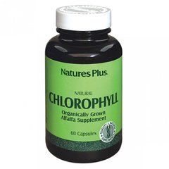 Органічний хлорофіл, Natures Plus, 60 капсул (NAP-01070), фото